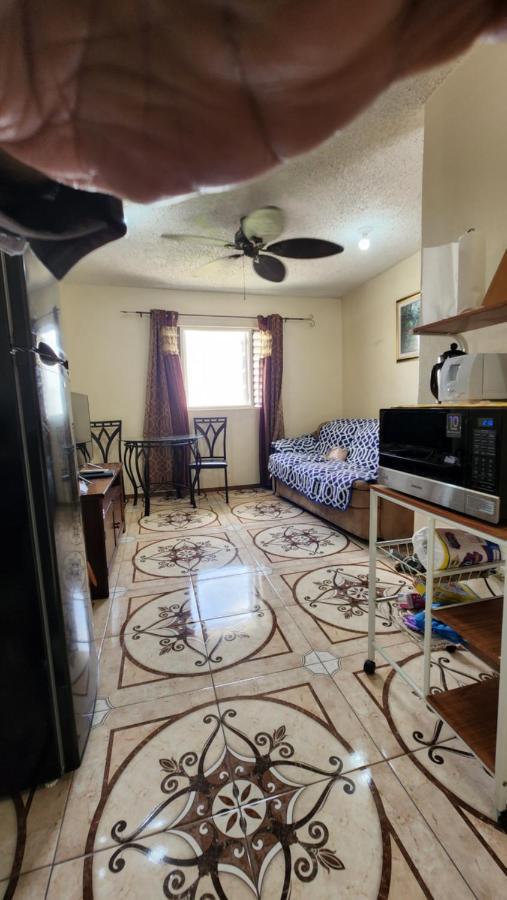 Oaklands Oasis Apartamento Kingston Exterior foto