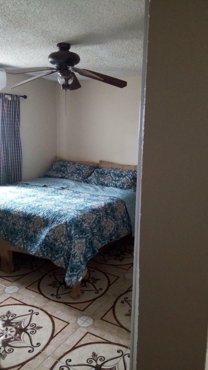 Oaklands Oasis Apartamento Kingston Exterior foto